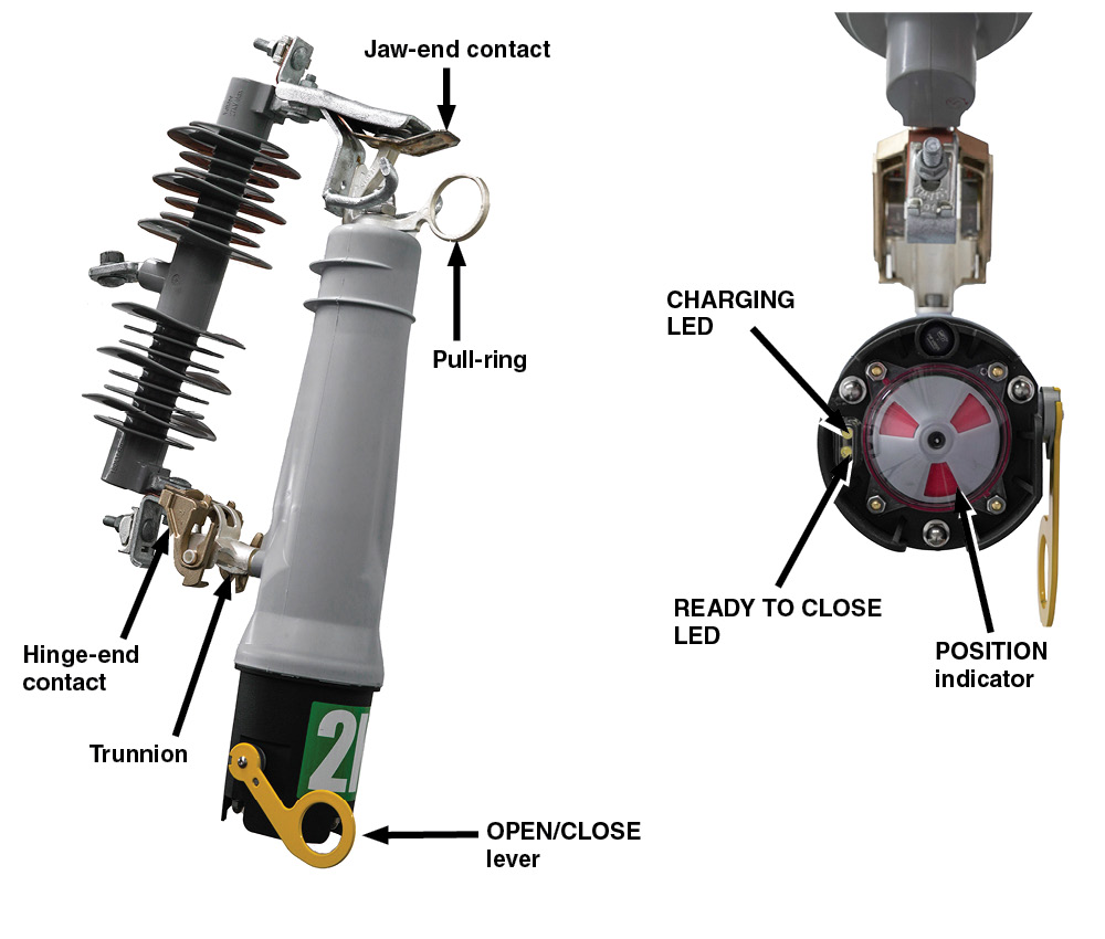 Anatomía del Interruptor de Restablecimiento VacuFuse® II